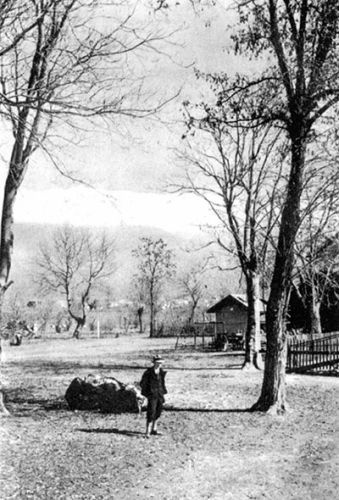 Иллюстрация к книге — От Каира до Стамбула. Путешествие по Ближнему Востоку [i_016.jpg]