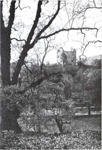 Иллюстрация к книге — Шотландия: Путешествие по Британии [i_020.jpg]