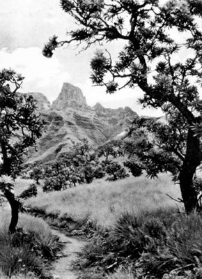 Иллюстрация к книге — Южная Африка. Прогулки на краю света [_10.jpg]