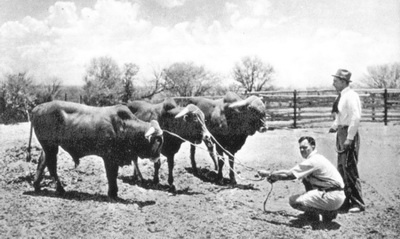 Иллюстрация к книге — Южная Африка. Прогулки на краю света [_14.jpg]