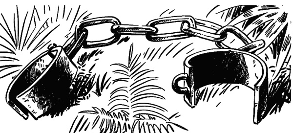 Иллюстрация к книге — Записки экспедитора Тайной канцелярии. К берегам Новой Англии [i_086.jpg]