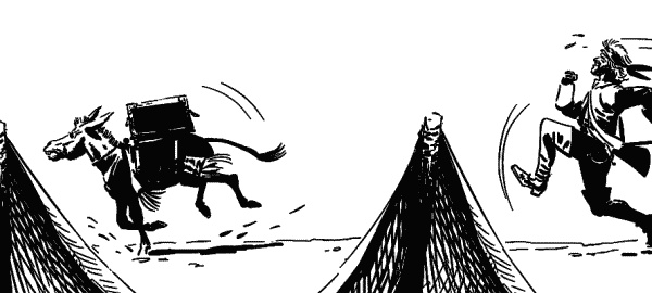 Иллюстрация к книге — Записки экспедитора Тайной канцелярии. К берегам Новой Англии [i_165.jpg]