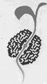 Иллюстрация к книге — Ликвидаторы. Чернобыльская комедия [_08.jpg]