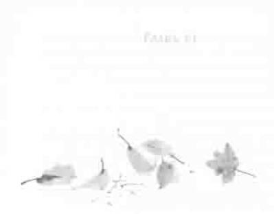 Иллюстрация к книге — Остров в море [any2fbimgloader11.jpg]