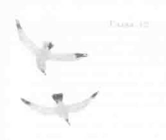 Иллюстрация к книге — Остров в море [any2fbimgloader12.jpg]