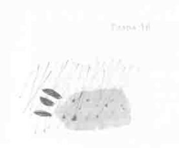 Иллюстрация к книге — Остров в море [any2fbimgloader16.jpg]