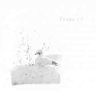 Иллюстрация к книге — Остров в море [any2fbimgloader17.jpg]