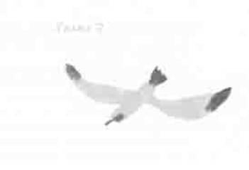 Иллюстрация к книге — Остров в море [any2fbimgloader2.jpg]