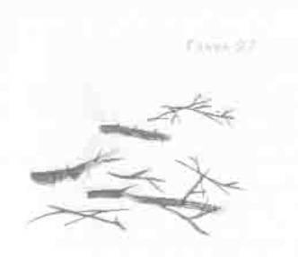 Иллюстрация к книге — Остров в море [any2fbimgloader27.jpg]