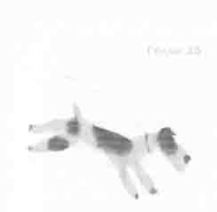 Иллюстрация к книге — Остров в море [any2fbimgloader35.jpg]