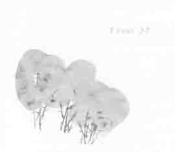 Иллюстрация к книге — Остров в море [any2fbimgloader37.jpg]