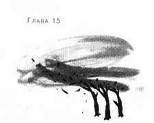 Иллюстрация к книге — Пруд Белых Лилий [pic_21a.jpg]