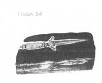 Иллюстрация к книге — Пруд Белых Лилий [pic_30.jpg]