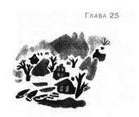 Иллюстрация к книге — Пруд Белых Лилий [pic_31a.jpg]