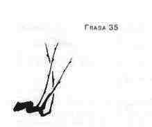 Иллюстрация к книге — Пруд Белых Лилий [pic_41a.jpg]