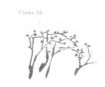 Иллюстрация к книге — Глубина моря [i_019.jpg]