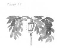 Иллюстрация к книге — Глубина моря [i_020.jpg]