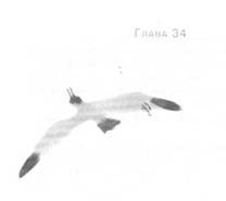 Иллюстрация к книге — Глубина моря [i_037.jpg]