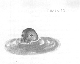 Иллюстрация к книге — Открытое море [img_15.jpg]