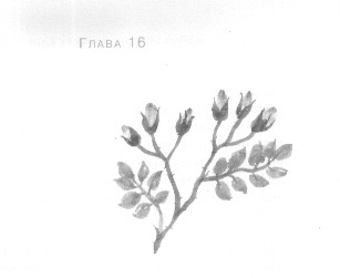 Иллюстрация к книге — Открытое море [img_18.jpg]