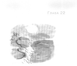 Иллюстрация к книге — Открытое море [img_24.jpg]