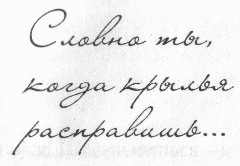 Иллюстрация к книге — С кем бы побегать [pic06.jpg]