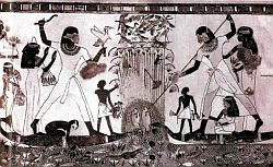 Иллюстрация к книге — Нефертити и Эхнатон [i_025.jpg]