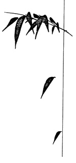 Иллюстрация к книге — Врата Небесного спокойствия [_1.jpg]