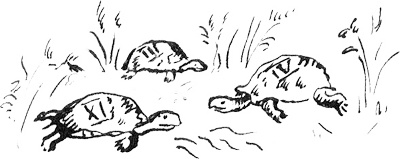 Иллюстрация к книге — Пятница, или Дикая жизнь [_13.jpg]