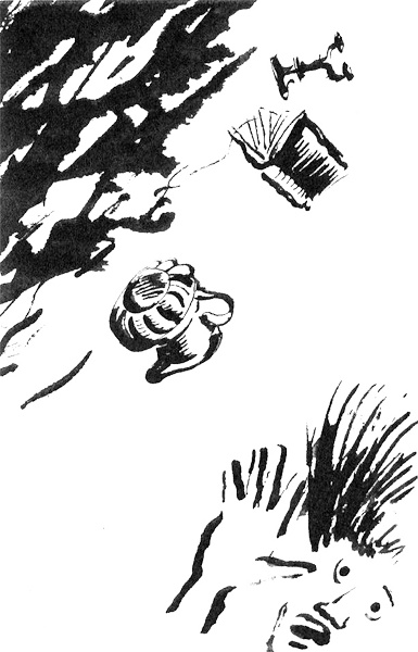 Иллюстрация к книге — Пятница, или Дикая жизнь [_19.jpg]