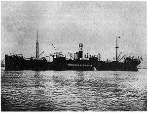 Иллюстрация к книге — Ковчег детей, или Невероятная одиссея [pic_3.jpg]