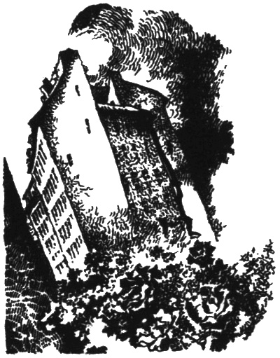 Иллюстрация к книге — Нео-Буратино [i_013.jpg]