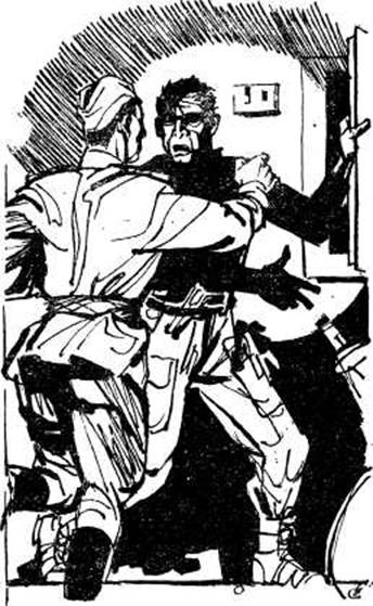 Иллюстрация к книге — Кукла госпожи Барк [any2fbimgloader12.jpg]