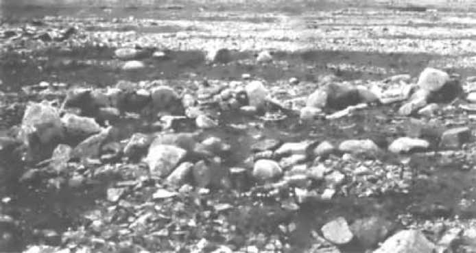 Иллюстрация к книге — От Ариев до Викингов, или Кто открыл Америку [i_009.jpg]