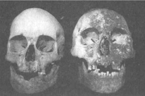 Иллюстрация к книге — От Ариев до Викингов, или Кто открыл Америку [i_036.jpg]