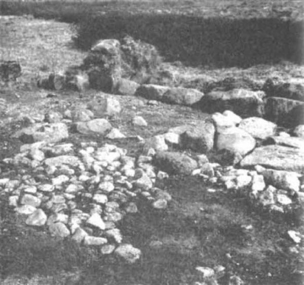 Иллюстрация к книге — От Ариев до Викингов, или Кто открыл Америку [i_038.jpg]