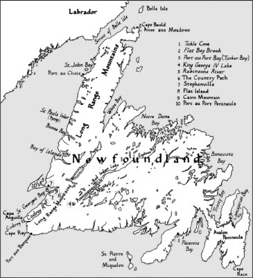 Иллюстрация к книге — От Ариев до Викингов, или Кто открыл Америку [i_039.jpg]
