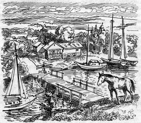 Иллюстрация к книге — Шхуна, которая не желала плавать [pic_21.jpg]