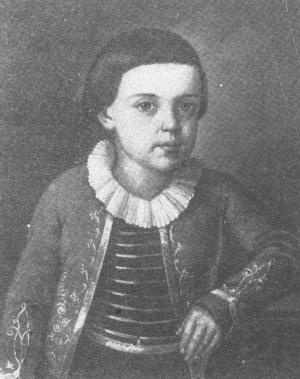 Иллюстрация к книге — Дворянские гнезда [i_024.jpg]