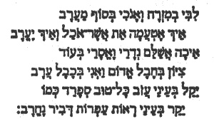 Иллюстрация к книге — Хазарский словарь. Женская версия [i_006.jpg]