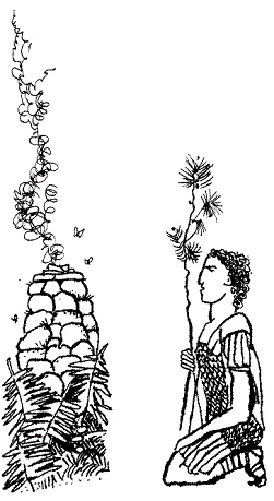 Иллюстрация к книге — Пак с Волшебных холмов [pic_102.jpg]