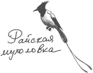 Иллюстрация к книге — Книга птиц Восточной Африки [i_010.jpg]