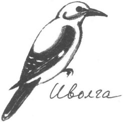 Иллюстрация к книге — Книга птиц Восточной Африки [i_018.jpg]