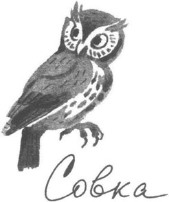 Иллюстрация к книге — Книга птиц Восточной Африки [i_037.jpg]