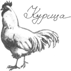 Иллюстрация к книге — Книга птиц Восточной Африки [i_040.jpg]