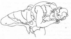 Иллюстрация к книге — Тетради дона Ригоберто [pic4.jpg]