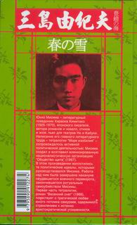 Иллюстрация к книге — Весенний снег [back01_1.jpg]