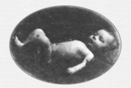 Иллюстрация к книге — Дэнни - чемпион мира [i_003.jpg]