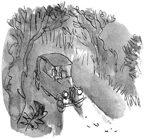 Иллюстрация к книге — Дэнни - чемпион мира [i_026.jpg]