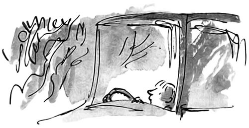 Иллюстрация к книге — Дэнни - чемпион мира [i_027.jpg]